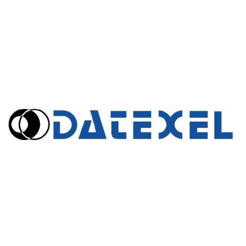 Datexel Việt Nam