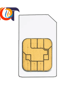 BW2222 Bihl Wiedemann Thẻ chip