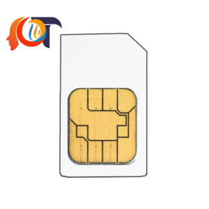 BW2222 Bihl Wiedemann Thẻ chip