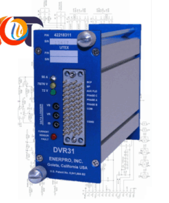 DVR31 Enerpro Mô đun điều chỉnh điện áp