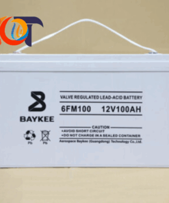 6FM100 Baykee Pin