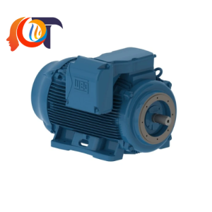 12676331 Weg Động cơ điện