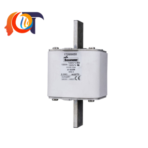 170M8650 Bussmann Cầu chì