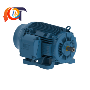 WEG IEEE841 Weg Động cơ