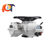 IQ35FA16A Rotork Vietnam