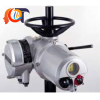 IQ70FA25Z Rotork Vietnam
