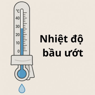 Nhiệt độ bầu ướt là gì