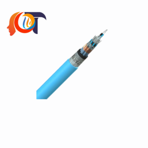 BFC00724T00 FS Cable VietnamCablle