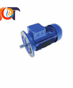 IE3Q1053A1100.0001 Bronzoni Motori Vietnam