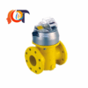 EQZ DN 50 Q 16 ELGAS Vietnam