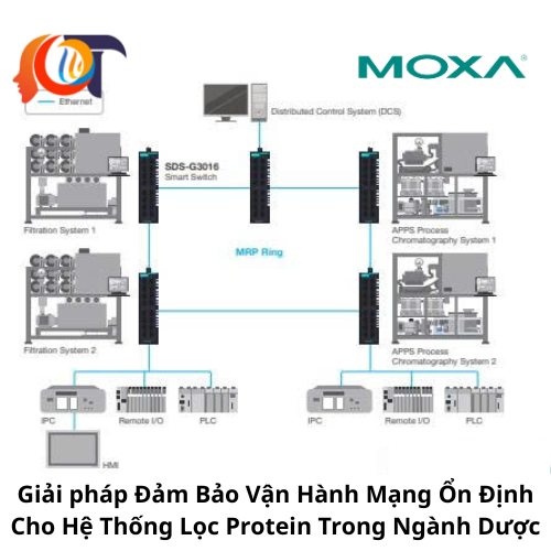 Giải pháp Đảm Bảo Vận Hành Mạng Ổn Định Cho Hệ Thống Lọc Protein Trong Ngành Dược
