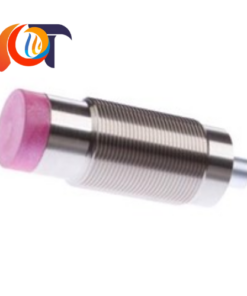 IN991197 IPF Vietnam